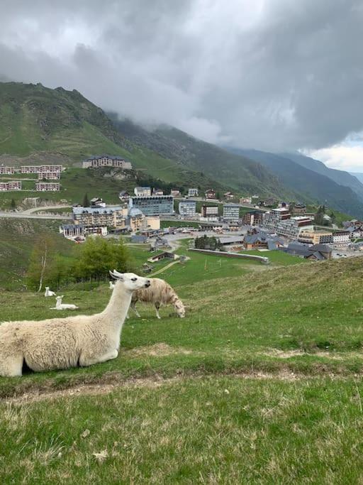 Appt Chaleureux 2 - 4 Personnes Au Pied Des Pistes - Draps Et Linges De Toilette Non Fournis - Menage Non Inclus Appartement La Mongie Buitenkant foto